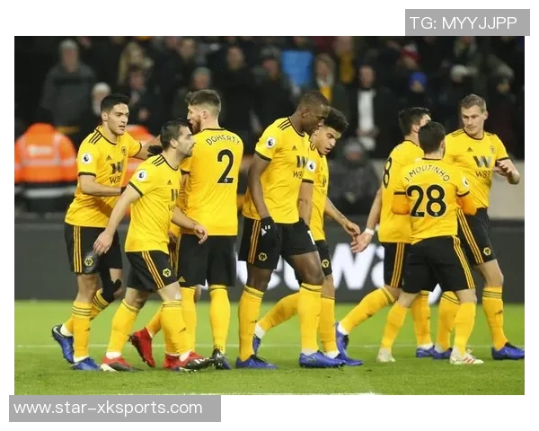 英超独家分析北京羽毛球队团队协作与英超球队的对比研究