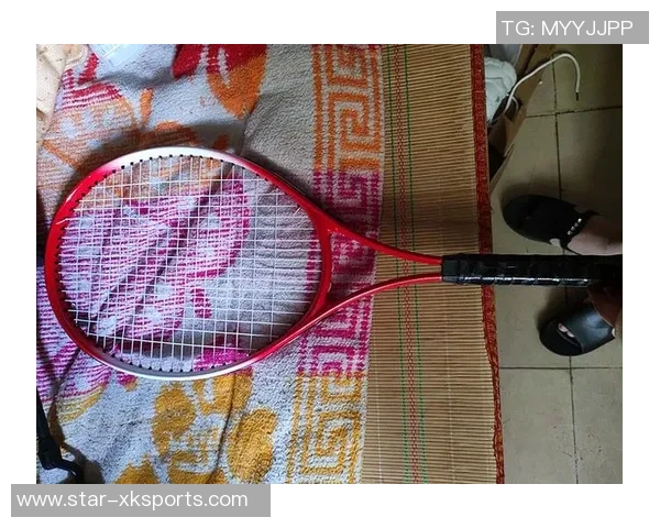 赵丽倾情分享网球技巧与心得助你提升球技的独特经验